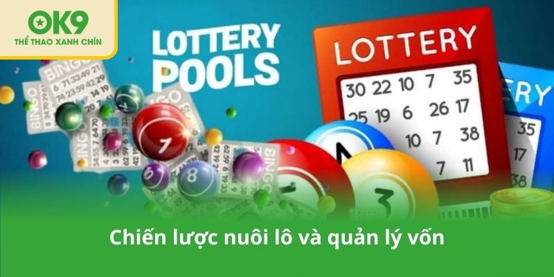 Chiến lược nuôi lô và quản lý vốn