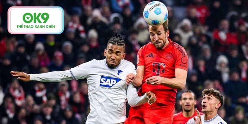 Hoffenheim sẽ gặp nhiều khó khăn để chống lại Bayern Munich