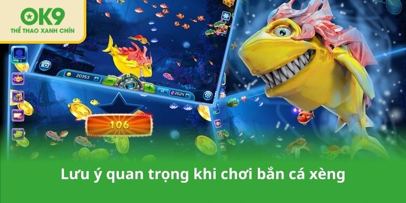 Lưu ý quan trọng khi chơi bắn cá xèng